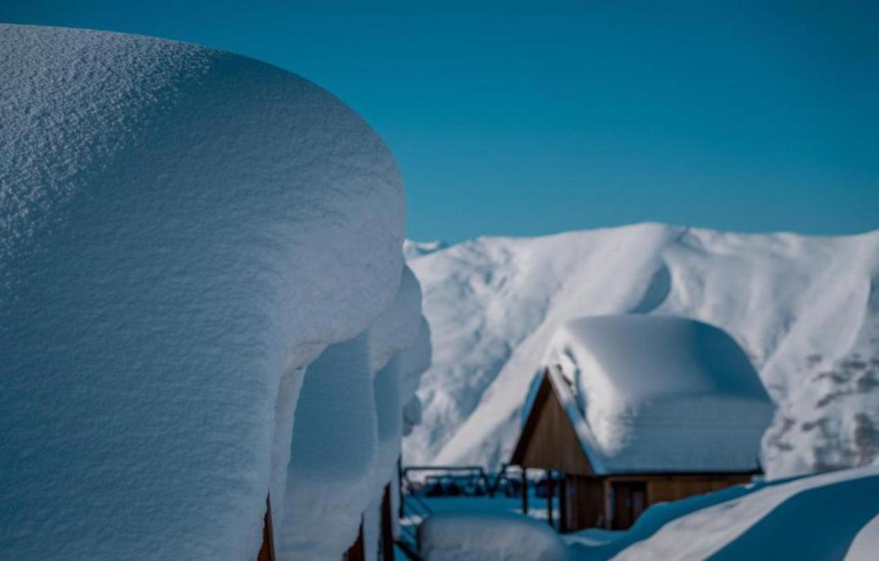 Redco Four Seasons In New Gudauri 302公寓 外观 照片